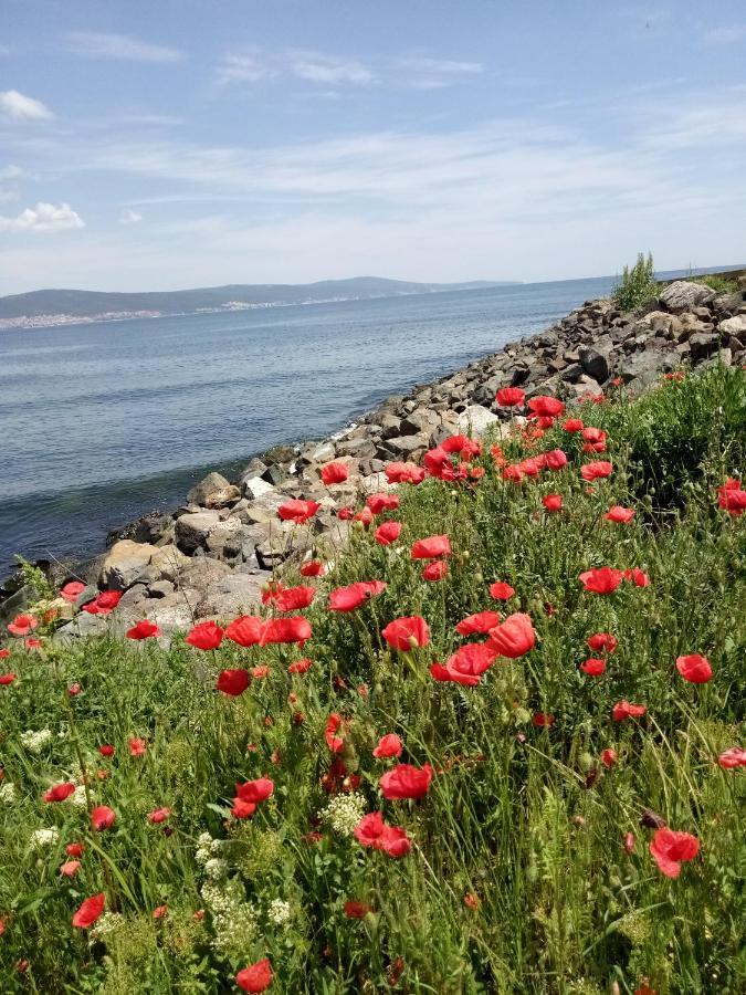 Holiday Apartcomplex Royal Sun Słoneczny Brzeg Zewnętrze zdjęcie